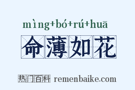 命薄如花是什么意思的图片